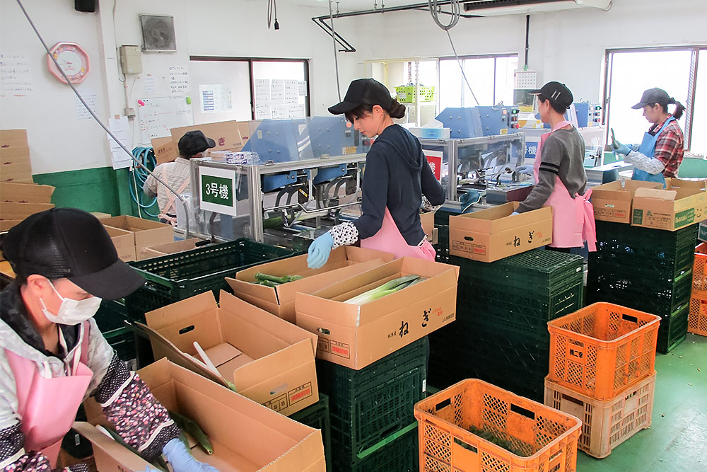 ファーマーズトラスト・岡部工場の様子
